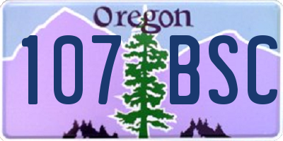 OR license plate 107BSC