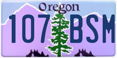 OR license plate 107BSM