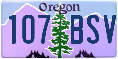 OR license plate 107BSV