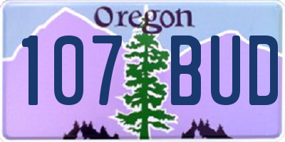 OR license plate 107BUD