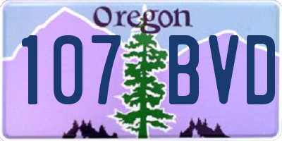 OR license plate 107BVD