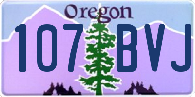 OR license plate 107BVJ