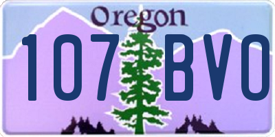 OR license plate 107BVO