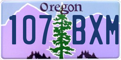 OR license plate 107BXM