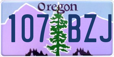 OR license plate 107BZJ