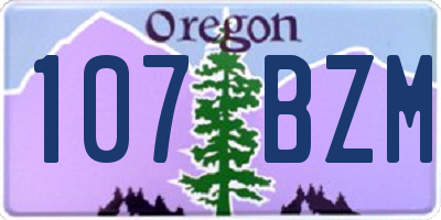 OR license plate 107BZM