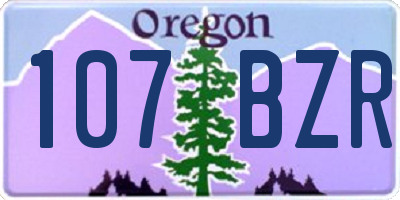 OR license plate 107BZR
