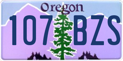 OR license plate 107BZS