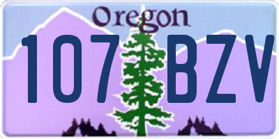 OR license plate 107BZV
