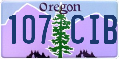 OR license plate 107CIB