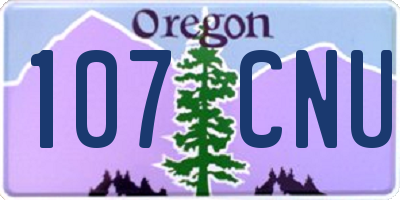 OR license plate 107CNU