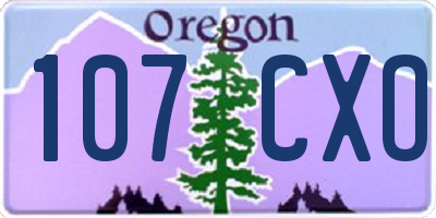 OR license plate 107CXO