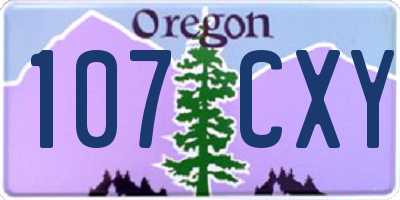 OR license plate 107CXY