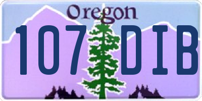 OR license plate 107DIB
