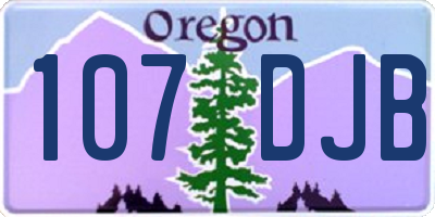 OR license plate 107DJB