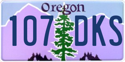 OR license plate 107DKS