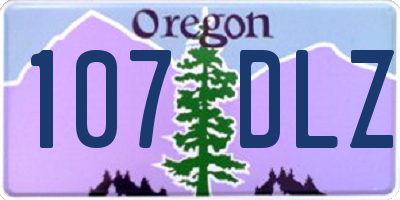 OR license plate 107DLZ