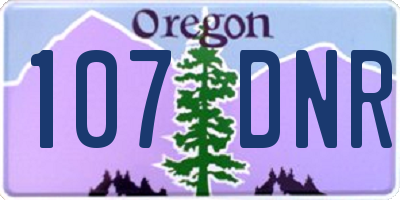 OR license plate 107DNR