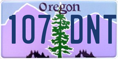 OR license plate 107DNT