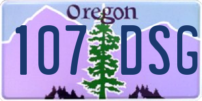 OR license plate 107DSG