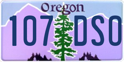 OR license plate 107DSO