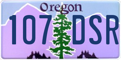 OR license plate 107DSR