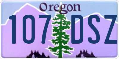 OR license plate 107DSZ