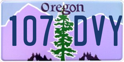 OR license plate 107DVY