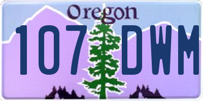 OR license plate 107DWM