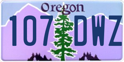OR license plate 107DWZ