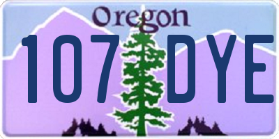 OR license plate 107DYE