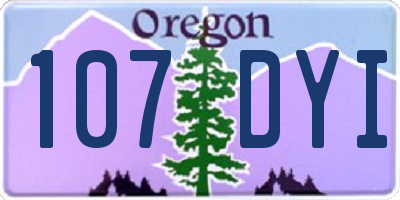 OR license plate 107DYI