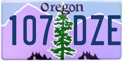 OR license plate 107DZE