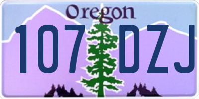 OR license plate 107DZJ