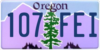 OR license plate 107FEI