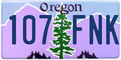 OR license plate 107FNK