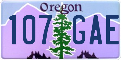 OR license plate 107GAE