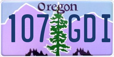 OR license plate 107GDI