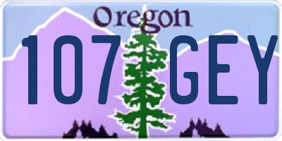 OR license plate 107GEY