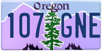 OR license plate 107GNE