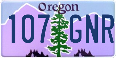 OR license plate 107GNR