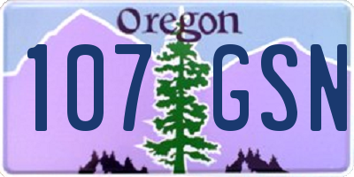 OR license plate 107GSN