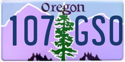 OR license plate 107GSO
