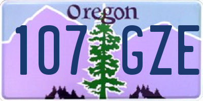 OR license plate 107GZE