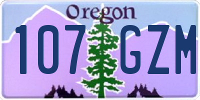 OR license plate 107GZM