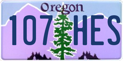 OR license plate 107HES