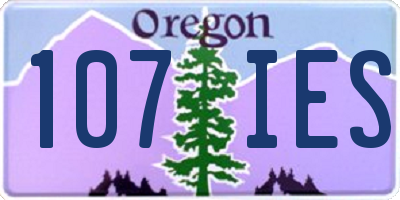 OR license plate 107IES