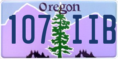 OR license plate 107IIB