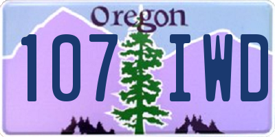 OR license plate 107IWD
