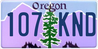 OR license plate 107KND